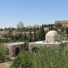 IMG_1486