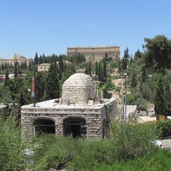 IMG_1487