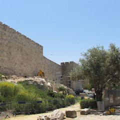 IMG_1491