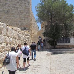 IMG_1496