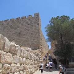 IMG_1497