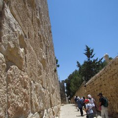 IMG_1499