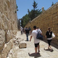 IMG_1500