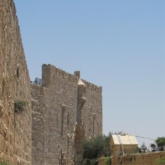 IMG_1501