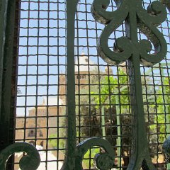 IMG_1505