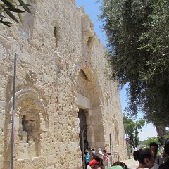 IMG_1506