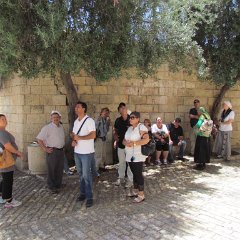 IMG_1507