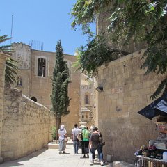 IMG_1511