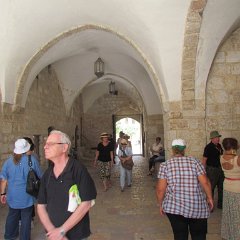 IMG_1531