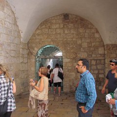 IMG_1533