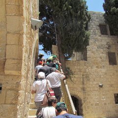 IMG_1535