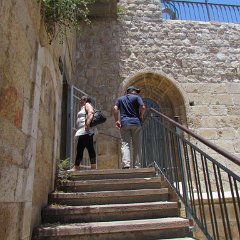IMG_1537