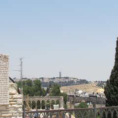 IMG_1542