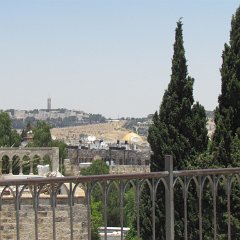 IMG_1544