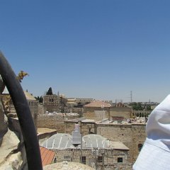 IMG_1547