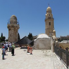 IMG_1549