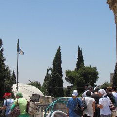 IMG_1550
