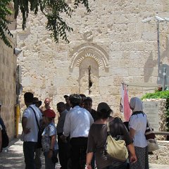 IMG_1551