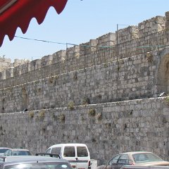 IMG_1555