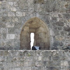 IMG_1556