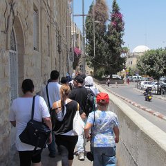 IMG_1557