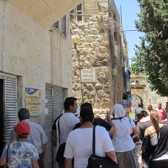IMG_1558