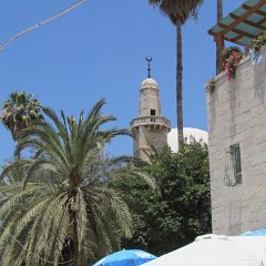 IMG_1560