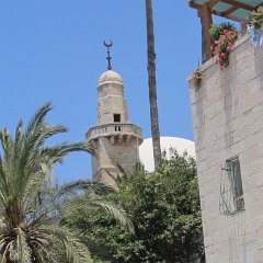 IMG_1561