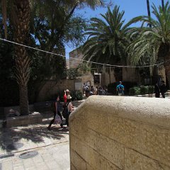 IMG_1567