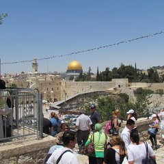 IMG_1582