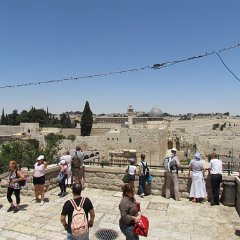 IMG_1583