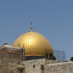 IMG_1586
