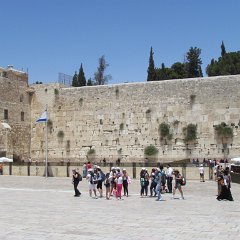 IMG_1588