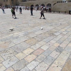 IMG_1594
