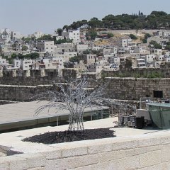 IMG_1605