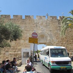 IMG_1607
