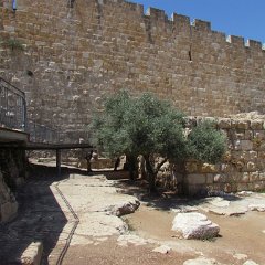 IMG_1610