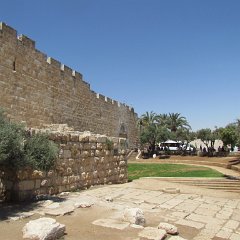 IMG_1611