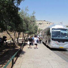 IMG_1613