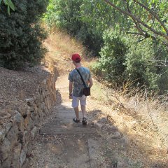 IMG_2780