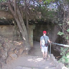 IMG_2784