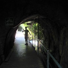 IMG_2785