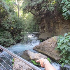 IMG_2661