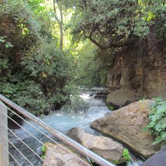 IMG_2662