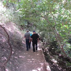 IMG_2667