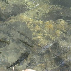 IMG_2669