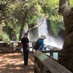 IMG_2676