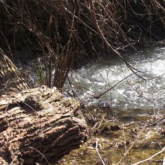 IMG_2334