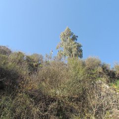 IMG_2338