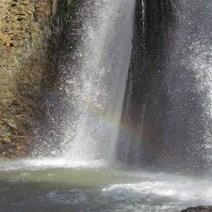 IMG_2390